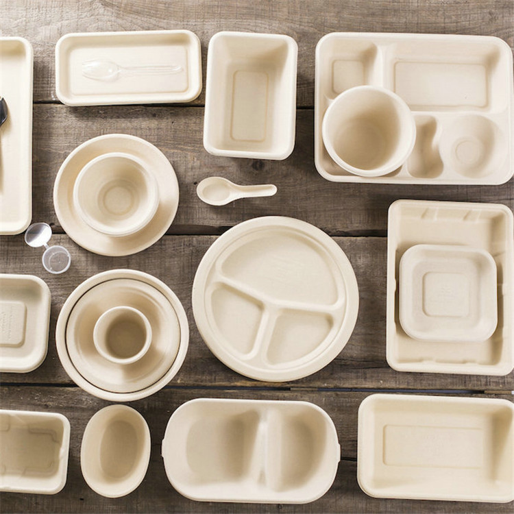 PLA Laminated Compartment Tray Bagasse Material