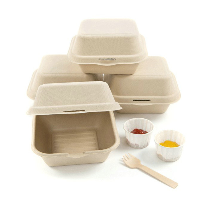Compostable Biodegradable 6inch Sugarcane Bagasse Food Container Takeaway Box