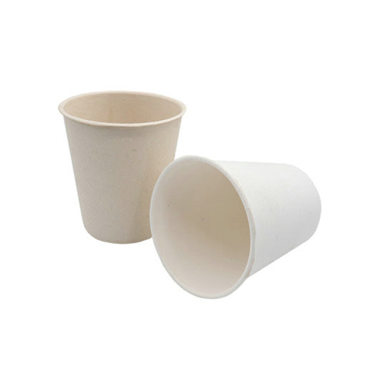 Big Soup Cup 15oz/17oz Paper Pulp Compostable Cup with Lid 
