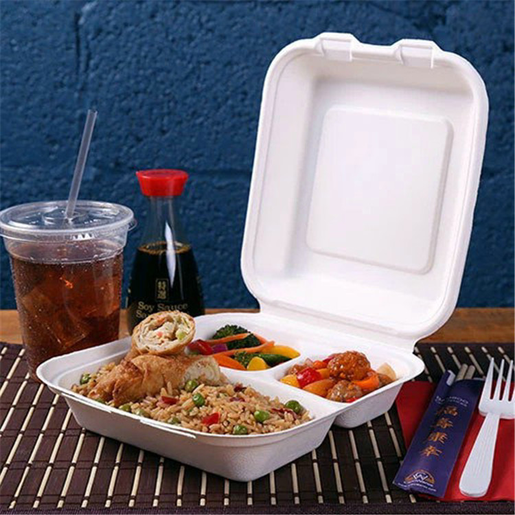 8inch 3 Compartment Fast Food Container Disposable Sugarcane Tableware