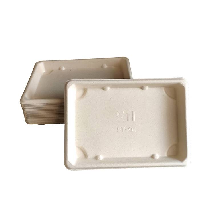 Rectangle Small Food Trays Bagasse Food Plates Biodegradable Tableware