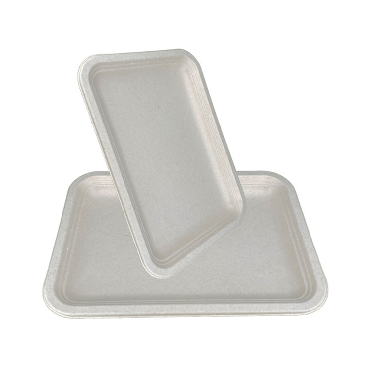 Large Size Compostable <a href=https://www.bagasseproduct.com/Biodegradable-bag.html target='_blank'>Biodegradable bag</a>asse Tray For Food Contain
