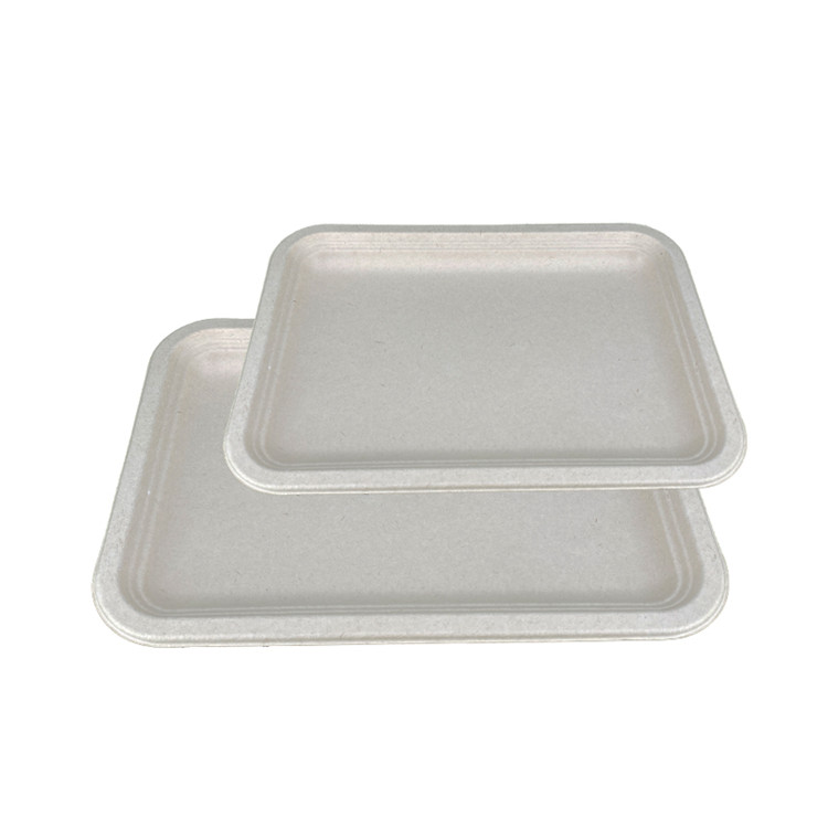 Envionmental Protection Compostable Sugarcane Bagasse Tray With Good Quality