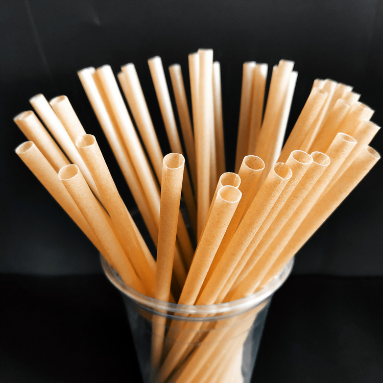 Sugarcane Straw Bagasse Drinking Straws Wholesale Cheap Price