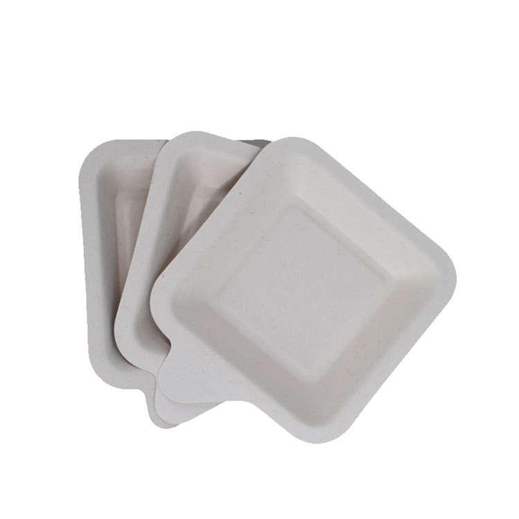 Cute Design Bagasse Pulp Cake Tray Biodegradable