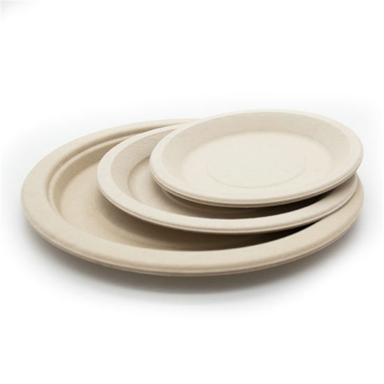 Round Sugarcane Food Plates