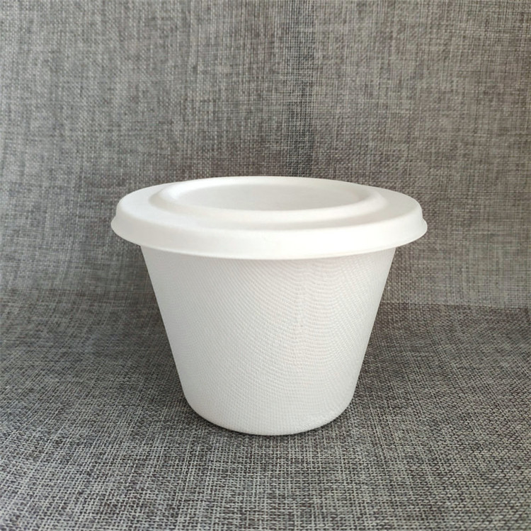 750ml Large Size Bagasse Cups with Lid Biodegradable 100%