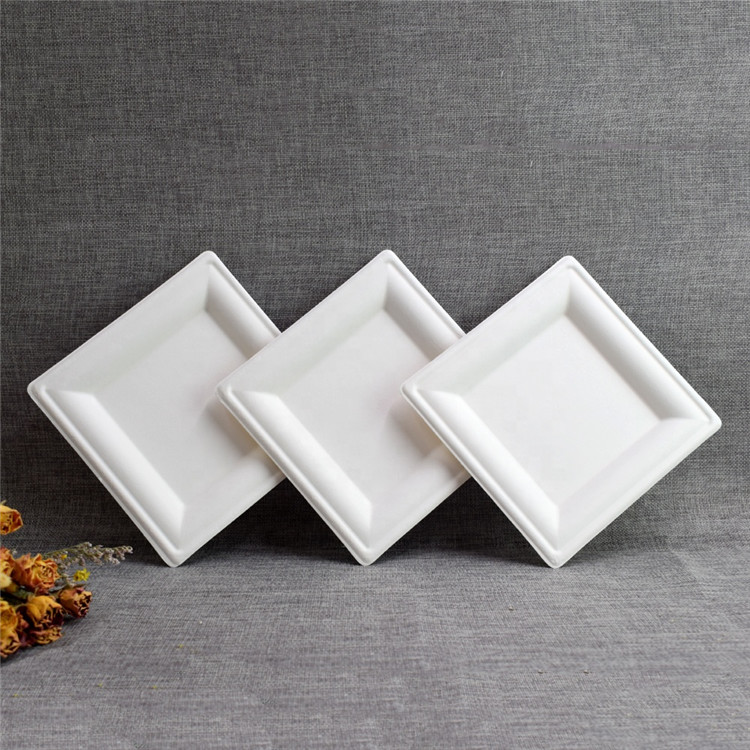 6Inch Square Shape Home Compostable Biodegradable Bagasse Square Plate