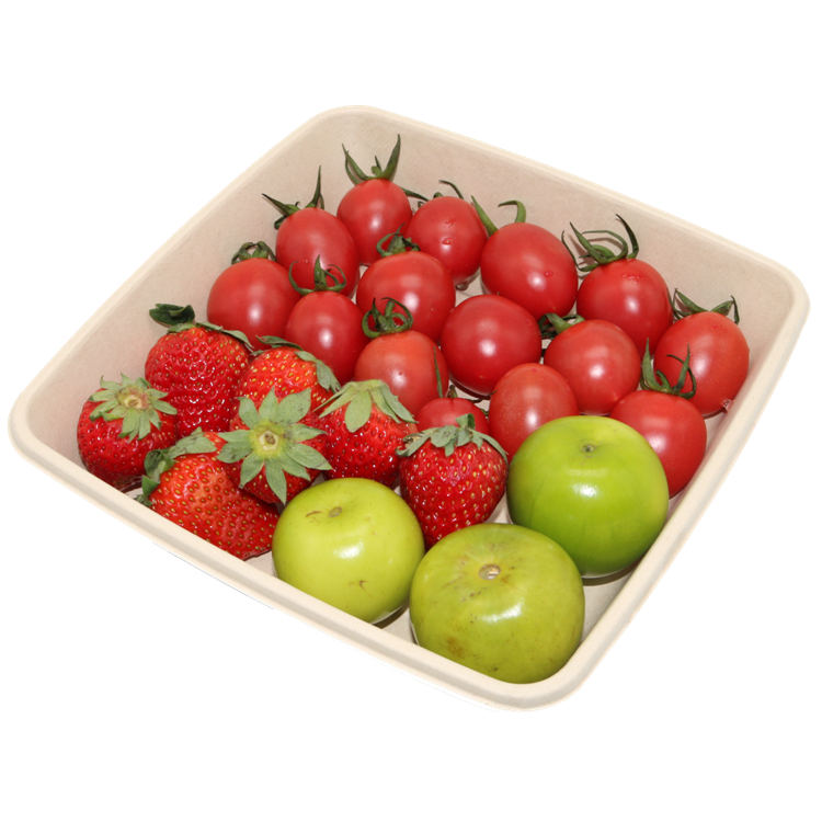 900ml Fruit Trays With Lid Disposable Biodegradable Natural Color Sugarcane Bagasse Tray