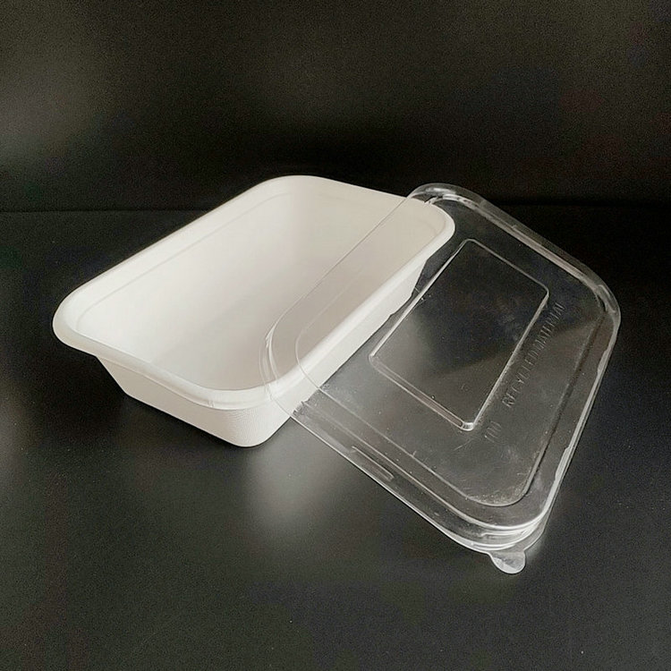 Food Tray Rectangle Salad Trays with Lids