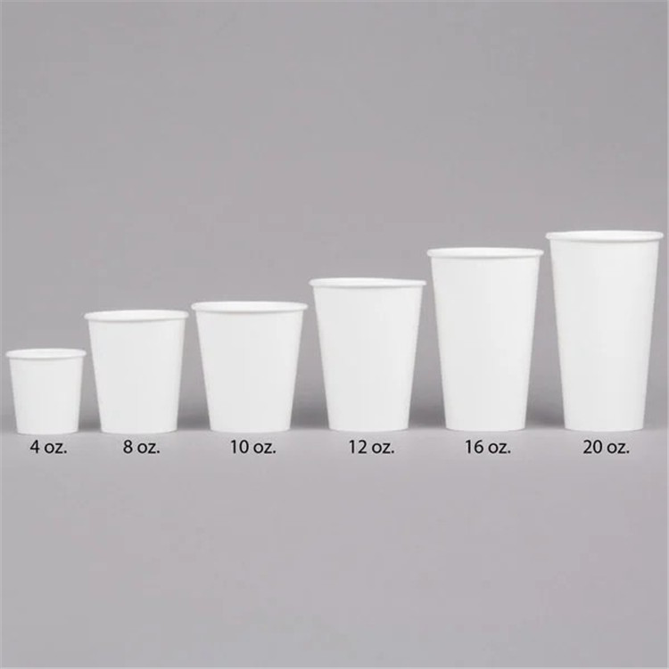 paper cup